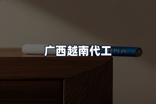 广西越南代工